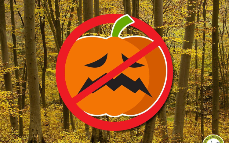 A halloweeni tök nem való a természetbe! 