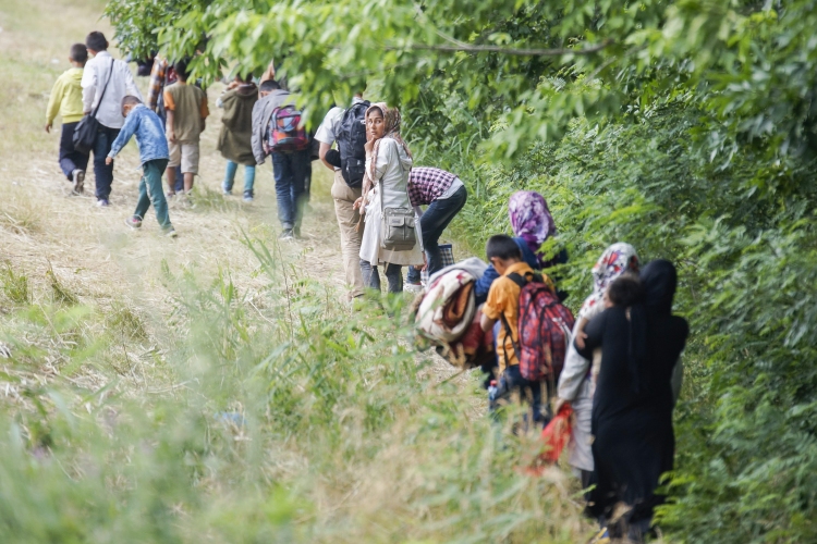 Migránstábor épülhet a magyar határ közelében